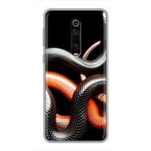 Чехлы с изображением разных животных для Xiaomi Redmi K20 (Змея)