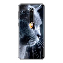 Чехлы с Котиками для Xiaomi Redmi K20 (VPrint) (Серый Кот)