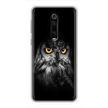 Чохли з принтом СОВИ для Xiaomi Redmi K20 – Сова на чорному