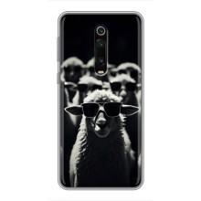 Чохол з принтом стильні тварини для Xiaomi Redmi K20:

				 українськими літерами: Ксіаомі Редмі К20 (Овечка в окулярах)