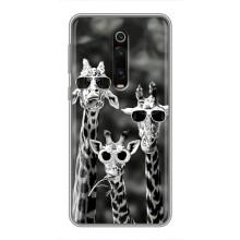 Силиконовый чехол с КАРТИНКАМИ лето для Xiaomi Redmi K20 (AlphaPrint) (Жирафы в очках)