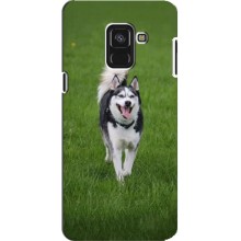 Чохол з Хаскі Samsung A8 Plus, A8 Plus 2018, A730F - (AlphaPrint) (Радісний Хаскі)