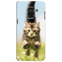 Чехлы с Котиками для Samsung A8 Plus,  A730F (VPrint) (Прыжок кота)