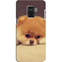 Чехол (ТПУ) Милые собачки для Samsung A8 Plus, A8 Plus 2018, A730F (Померанский шпиц)