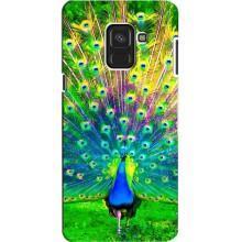 Чохол з пташками на Samsung A8, A8 2018, A530F (VPrint) (Яскравий Павлин)