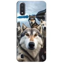 Чехол с Хаски для Samsung Galaxy A01 Core - (AlphaPrint) – Селфи ХАски