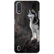 Чехол с Хаски для Samsung Galaxy A01 Core - (AlphaPrint) – Верный пес