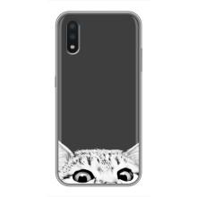 Чохол на Самсунг Галаксі А01 Кор з Котиками (VPrint) (Виглядає котик)