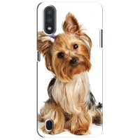 Чехол (ТПУ) Милые собачки для Samsung Galaxy A01 Core – Собака Терьер