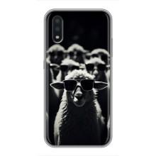 Чохол з принтом стильні тварини для Самсунг Галаксі А01 Кор – Овечка в окулярах