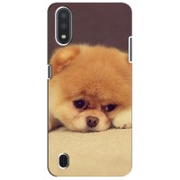 Чехол (ТПУ) Милые собачки для Samsung Galaxy A01 – Померанский шпиц