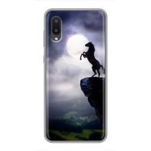 Чехлы с изображением разных животных для Samsung Galaxy A02 (Лошадь)