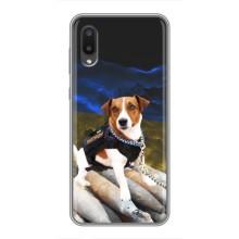 Чехол с принтом Собаки Патрон для Samsung Galaxy A02 (Пёс Патрон)