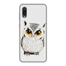 Чохол з пташками на Samsung Galaxy A02 (VPrint) (Мила Сова)
