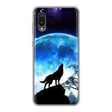 Чохол з Вовком на Samsung Galaxy A02 – Виє на місяць