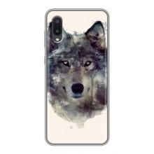 Чохол з Вовком на Samsung Galaxy A02 – Вовк