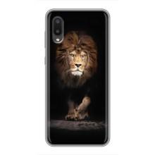 Чохол з картинкою ЛЕВ для Samsung Galaxy A02 (VPrint) (Лев)