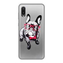 Чехол (ТПУ) Милые собачки для Samsung Galaxy A02 (Бульдог в очках)