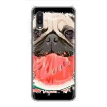 Чехол (ТПУ) Милые собачки для Samsung Galaxy A02 (Смешной Мопс)