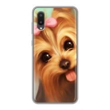 Чехол (ТПУ) Милые собачки для Samsung Galaxy A02 (Йоршенский терьер)