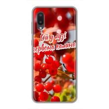 Силіконовий Чохол  на Samsung Galaxy A02 (Я-Україна) – Червона Калина