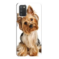 Чехол (ТПУ) Милые собачки для Samsung Galaxy A02s (Собака Терьер)