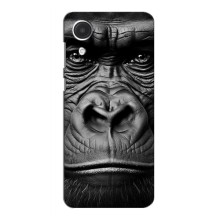 Чохли з Горилою на Самсунг А04 Кор – Чорна мавпа