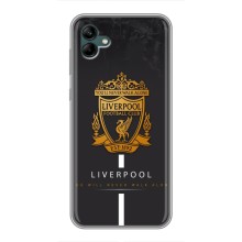 Чехлы для Самсунг А04 (VPrint) - ТОП ФК (FC Liverpool)
