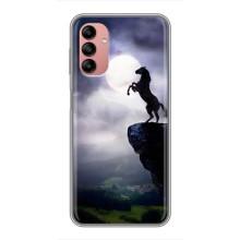 Чохли з зображенням різних тварин на Samsung Galaxy A04s (Кінь)