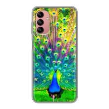 Чехол с птицами на Samsung Galaxy A04s (VPrint) (Яркий Павлин)