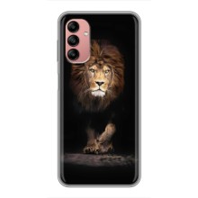 Чехол со Львом для Samsung Galaxy A04s (VPrint) (Лев)