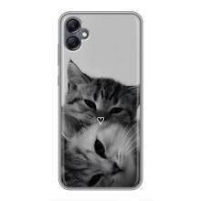 Чехол с рисунком кот на Samsung Galaxy A05 (Пара котов)