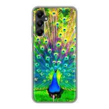 Чохол з пташками на Samsung Galaxy A05s (VPrint) (Яскравий Павлин)
