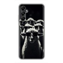 Чехол с принтом стильные животные для Самсунг А05s (Овечка в очках)
