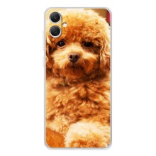Чехлы с собаками для Samsung Galaxy A06 (VPrint) (Щенок Бишон)