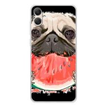 Чехол (ТПУ) Милые собачки для Samsung Galaxy A06 – Смешной Мопс