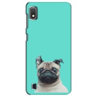 Бампер для Samsung Galaxy A10 2019 (A105F) с картинкой "Песики" – Собака Мопс