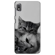 Чехол с рисунком кот на Samsung Galaxy A10 2019 (A105F) (Пара котов)
