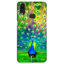 Чехол с птицами на Samsung Galaxy A10s (A107) (VPrint) (Яркий Павлин)