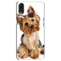 Чехол (ТПУ) Милые собачки для Samsung Galaxy A10s (A107) – Собака Терьер