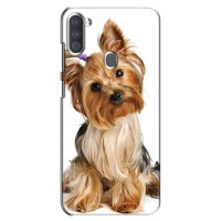 Чехол (ТПУ) Милые собачки для Samsung Galaxy A11 (A115) (Собака Терьер)