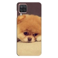 Чехол (ТПУ) Милые собачки для Samsung Galaxy A12 (Померанский шпиц)