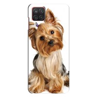 Чехол (ТПУ) Милые собачки для Samsung Galaxy A12 (Собака Терьер)