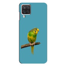 Силіконовий бампер з птичкою на Samsung Galaxy A12 – Попугайчик