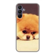 Чехол (ТПУ) Милые собачки для Samsung Galaxy A15 (A155) (Померанский шпиц)