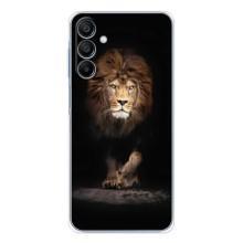 Чехол с картинкой на Samsung Galaxy A16 5G – Красивый Лев