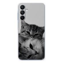 Чехол с рисунком кот на Samsung Galaxy A16 5G (Пара котов)
