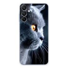 Чехлы с Котиками для Samsung Galaxy A16 (VPrint) (Серый Кот)