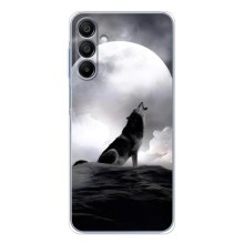 Чехол с Волком на Samsung Galaxy A16 – Волк и луна