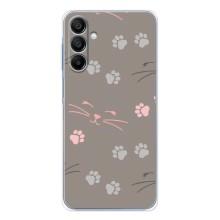 Чехол с рисунком кот на Samsung Galaxy A16 – Лапы и усы